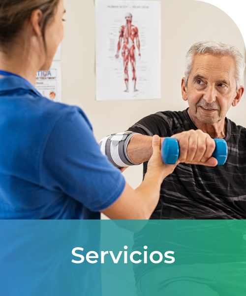 Servicios